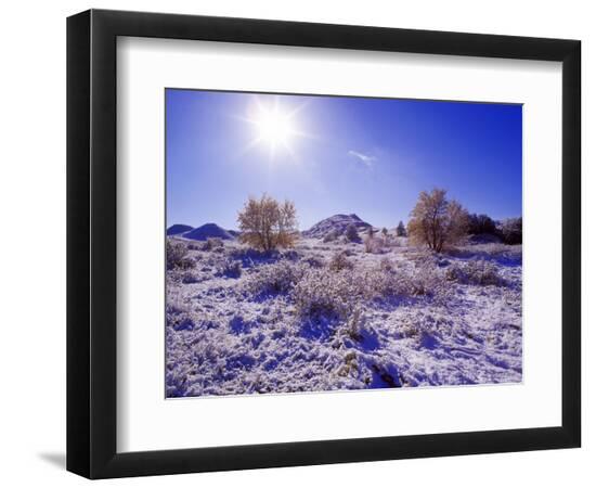 Premium Photographic Print, , large