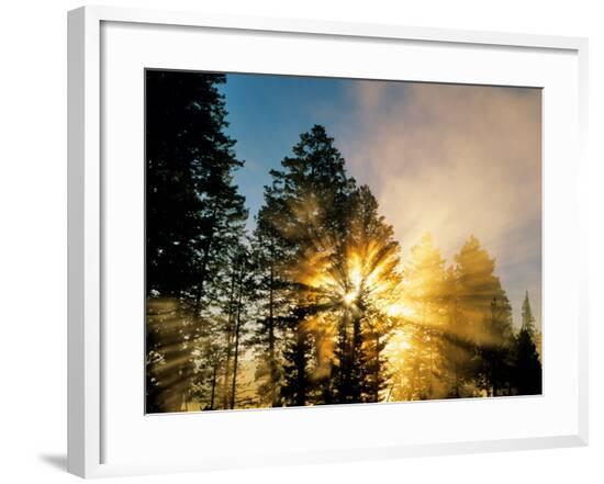 Framed Photographic Print, , large