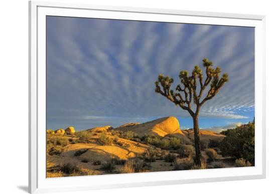 Framed Photographic Print, , large