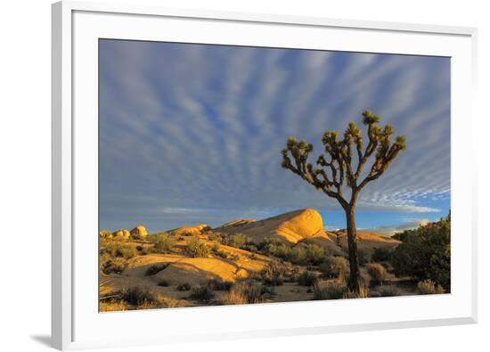 Framed Photographic Print, , large