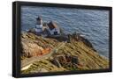 Essential Black