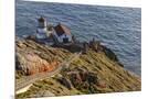 Wood Mount