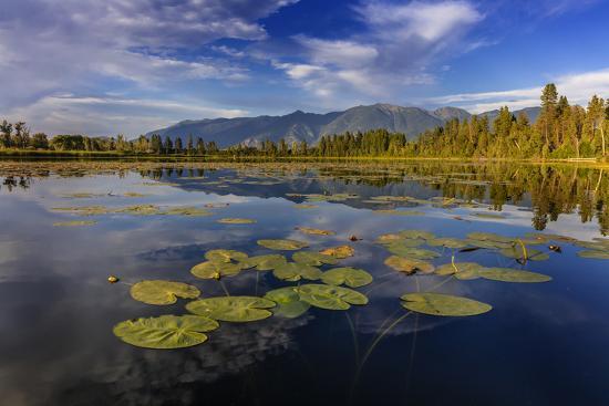 Premium Photographic Print, , large