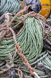 Lobster rope in Bernard, Maine, USA-Chuck Haney-Photographic Print