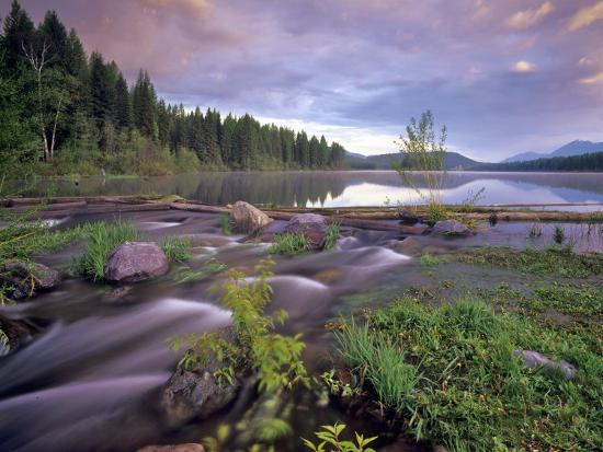 Premium Photographic Print, , large