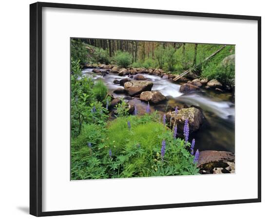Framed Photographic Print, , large