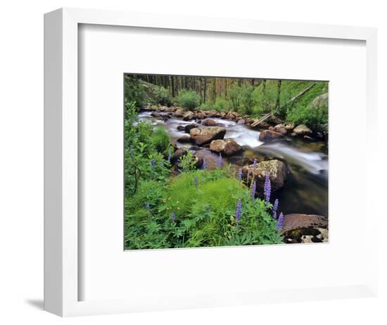 Framed Photographic Print, , large