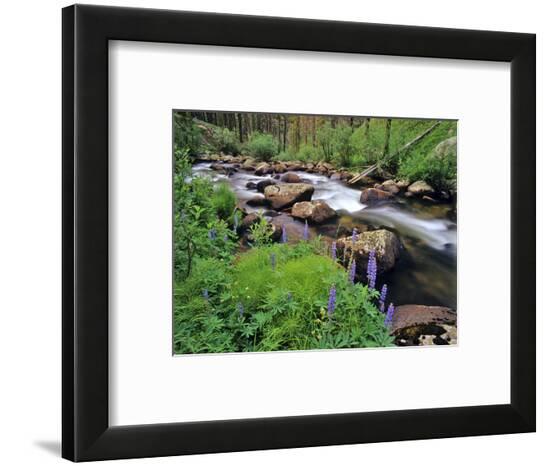 Framed Photographic Print, , large