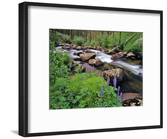 Framed Photographic Print, , large