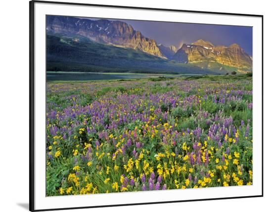 Framed Photographic Print, , large