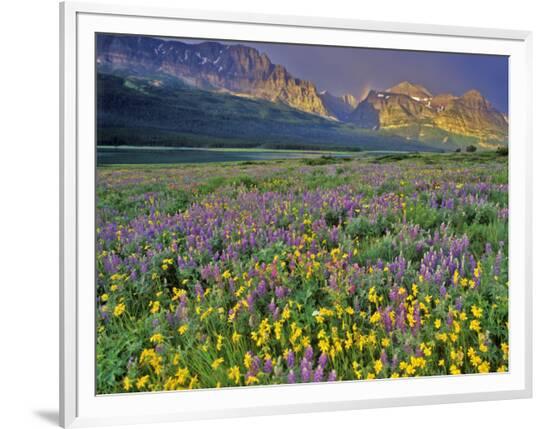 Framed Photographic Print, , large