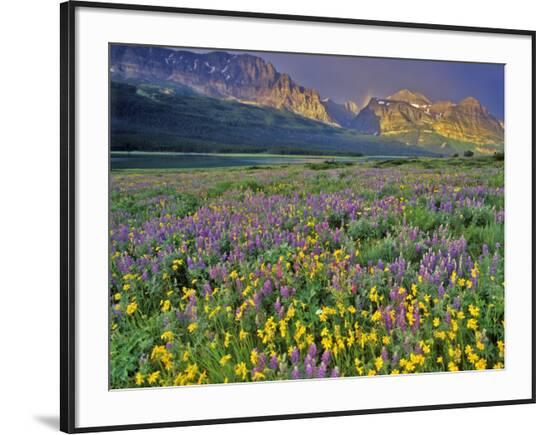 Framed Photographic Print, , large