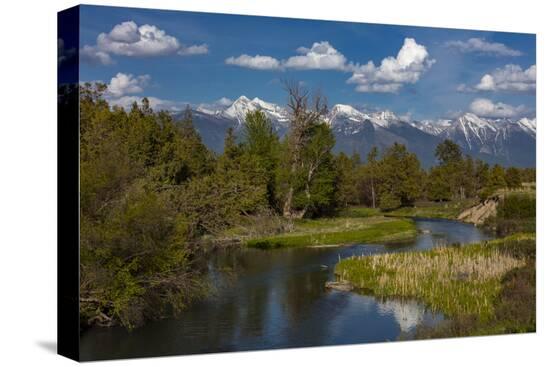 Stretched Canvas Print, , large
