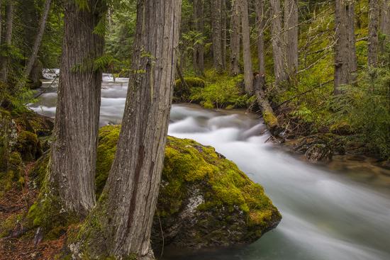 Premium Photographic Print, , large