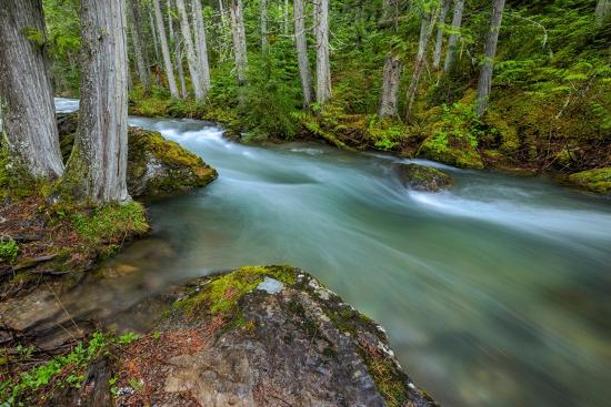 Premium Photographic Print, , large