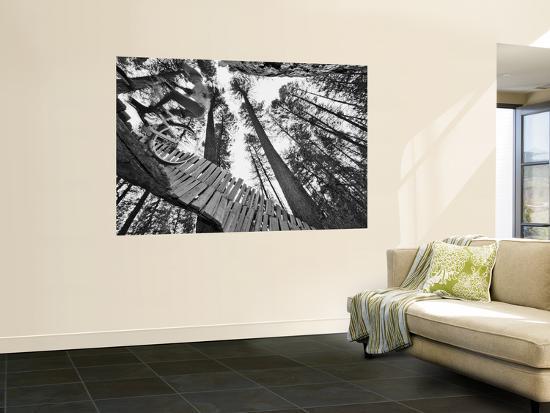 Giant Art Print, , large