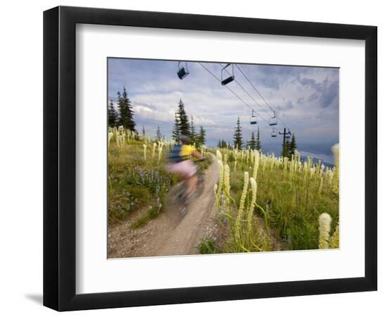 Premium Photographic Print, , large