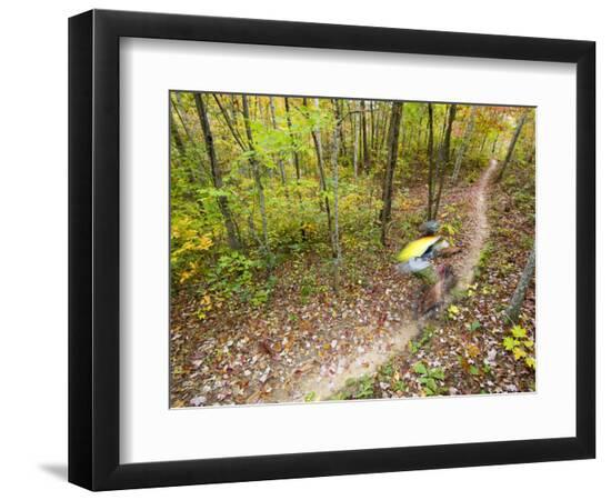 Premium Photographic Print, , large