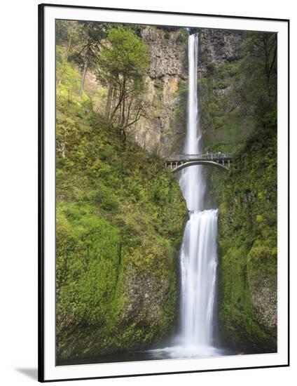 Framed Photographic Print, , large
