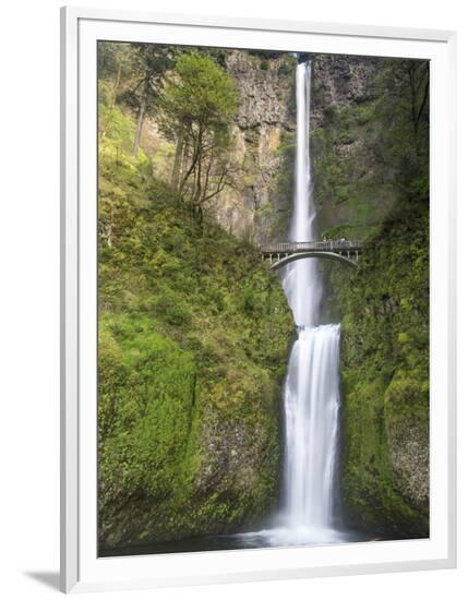 Framed Photographic Print, , large