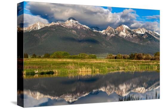 Stretched Canvas Print, , large