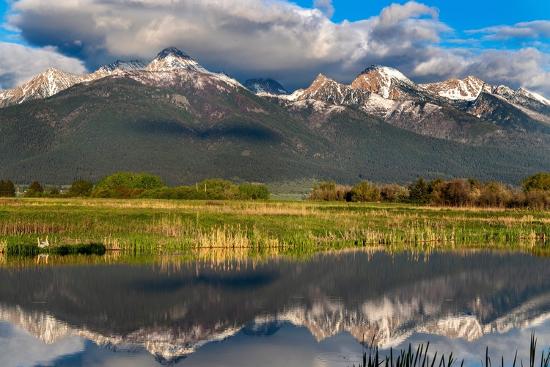 Premium Photographic Print, , large