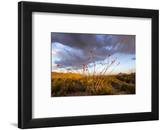 Framed Photographic Print, , large