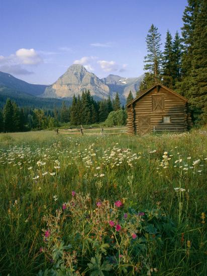 Premium Photographic Print, , large