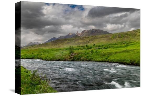 Stretched Canvas Print, , large