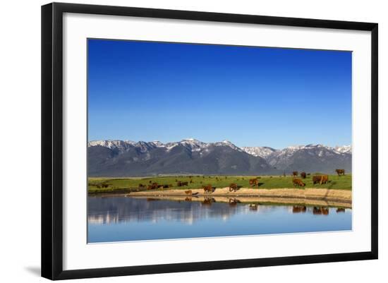 Photographic Print, , large