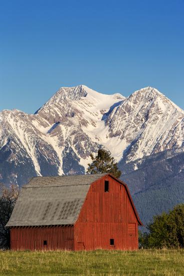 Premium Photographic Print, , large