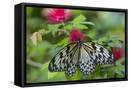 Canvas Black
