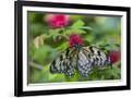 Gramercy Black