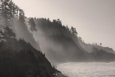 Sea mist rises along Indian Beach at Ecola State Park in Cannon Beach, Oregon, USA-Chuck Haney-Photographic Print