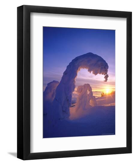 Premium Photographic Print, , large
