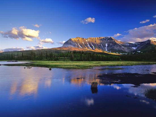 Premium Photographic Print, , large