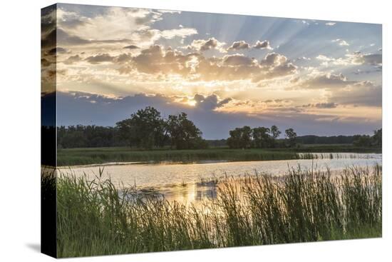 Stretched Canvas Print, , large