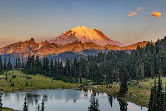 Premium Photographic Print, , large