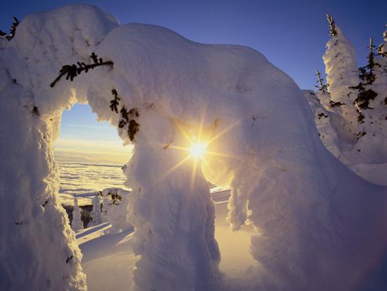 Photographic Print, , large