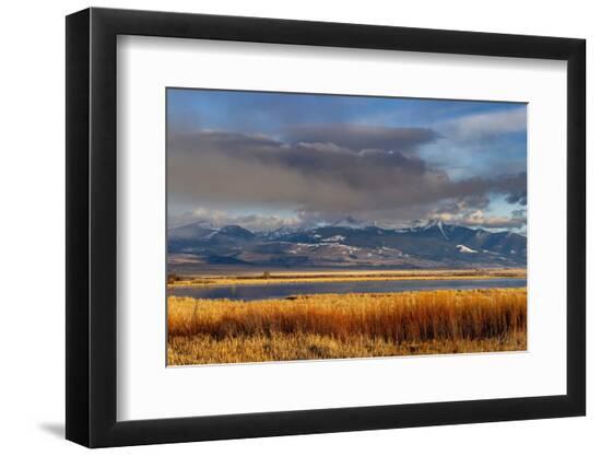 Premium Photographic Print, , large