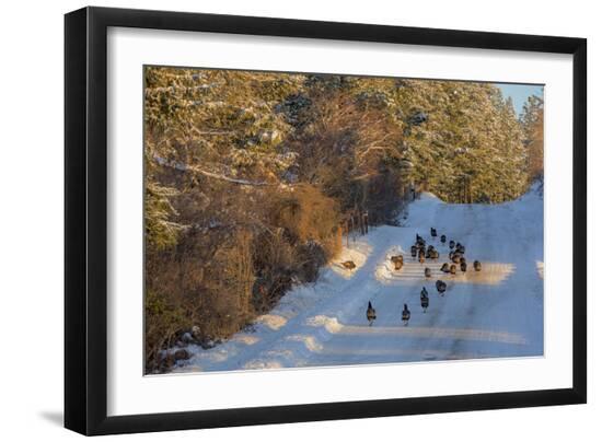 Photographic Print, , large