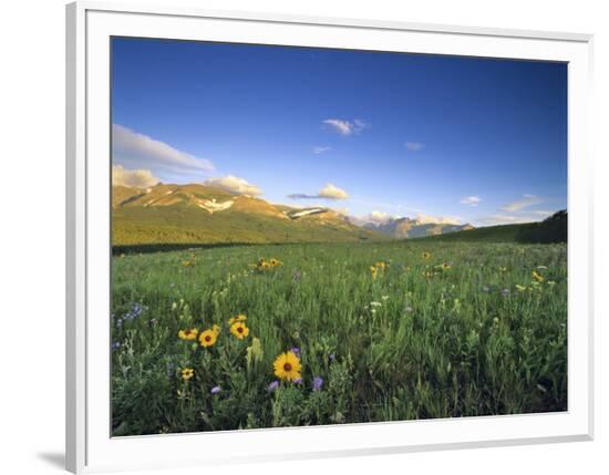 Framed Photographic Print, , large