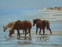Baker's Beach-Chuck Larivey-Mounted Art Print