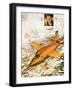 Chuck Yeager Travelling Faster Than Sound-Leo Davy-Framed Giclee Print