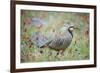 Chuckar partridge (Alectoris chukar) among red flowers, Pamyr, Tajikistan. April.-Valeriy Maleev-Framed Photographic Print