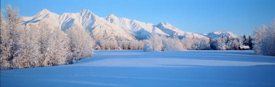 Premium Photographic Print, , large