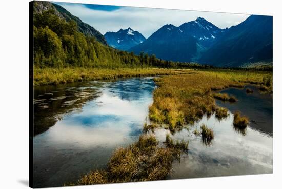Chugach state park, outside of Anchorage Alaska-null-Stretched Canvas
