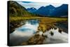 Chugach state park, outside of Anchorage Alaska-null-Stretched Canvas