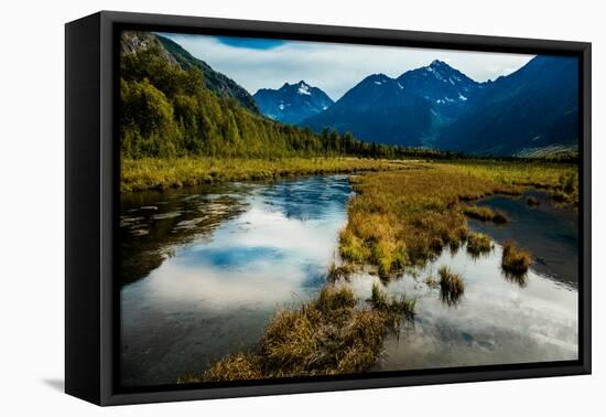 Chugach state park, outside of Anchorage Alaska-null-Framed Stretched Canvas