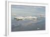 Chukchi Sea, Russian Far East, Eurasia-G and M Therin-Weise-Framed Photographic Print